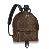1 Palm Springs MM M41561